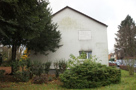 weiden