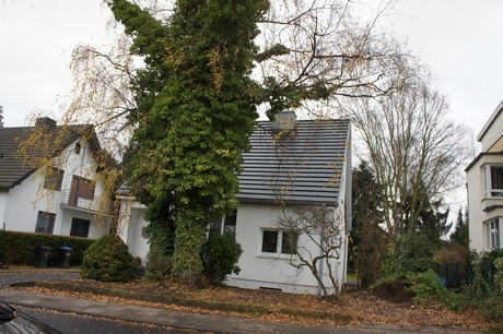 weiden