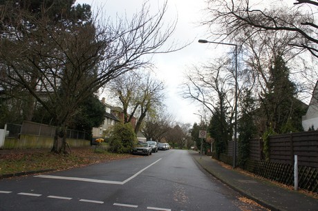 weiden