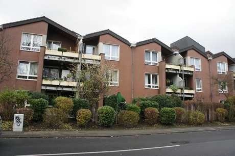 weiden
