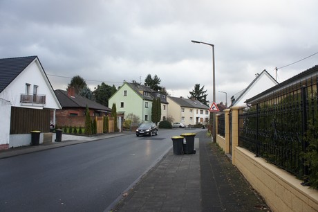 weiden