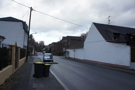 weiden