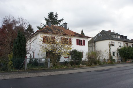 weiden