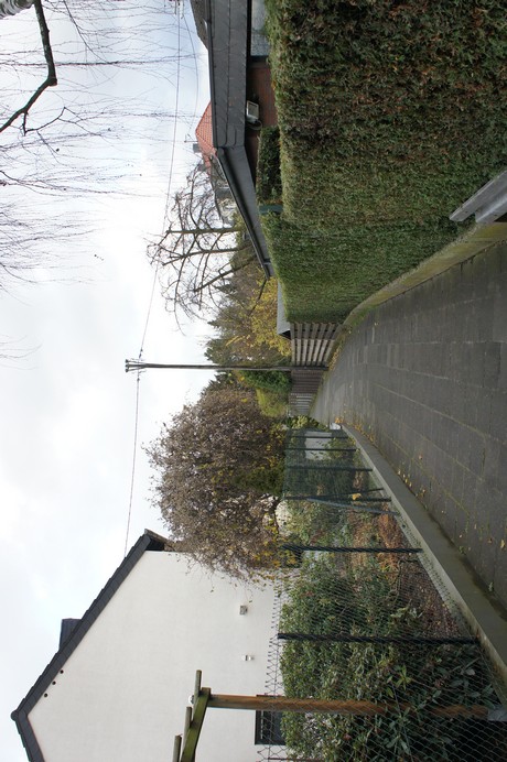 weiden