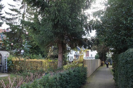 weiden