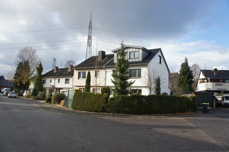 weiden