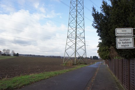 weiden