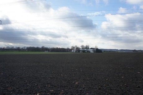 weiden