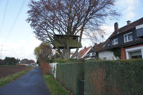 weiden