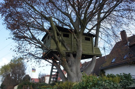 weiden