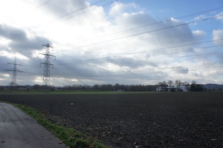 weiden