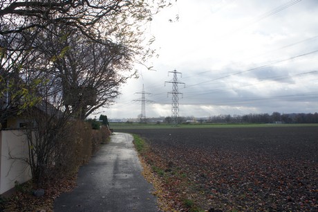 weiden