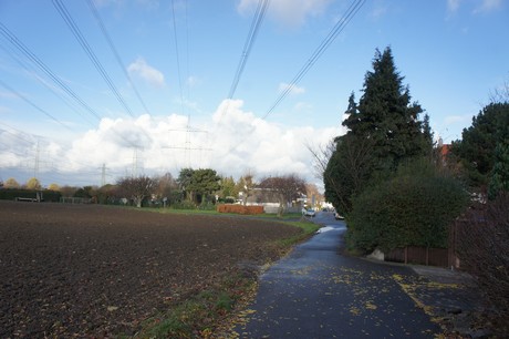 weiden