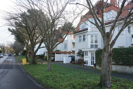 weiden