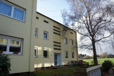weiden