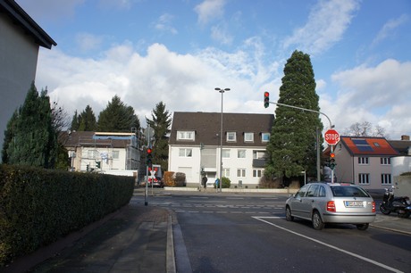 weiden