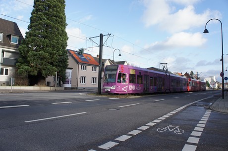 weiden