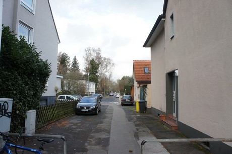 weiden