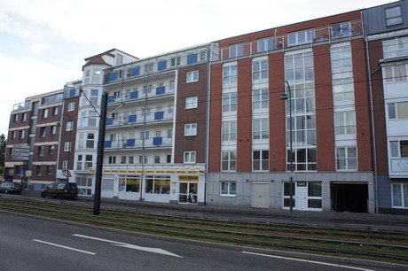 weiden