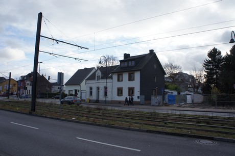 weiden