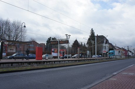 weiden