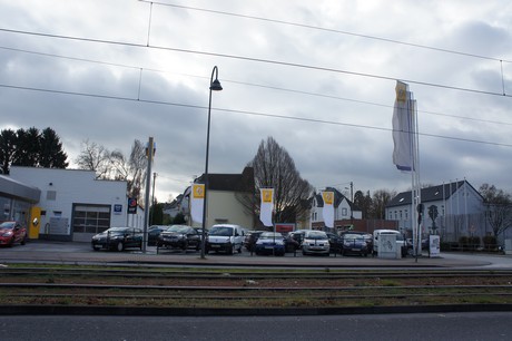 weiden