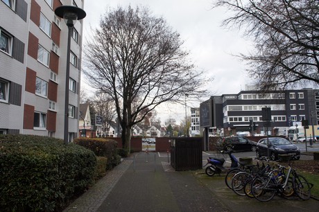 weiden