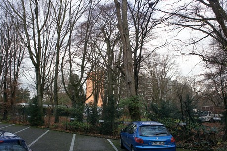 weiden
