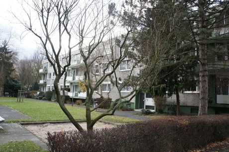 weiden