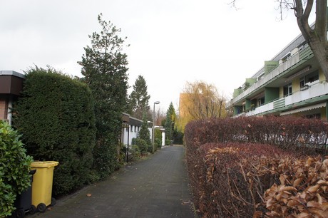 weiden