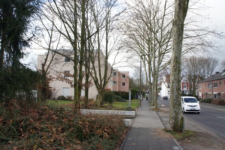 weiden