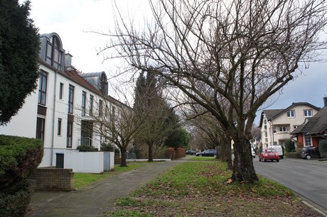 weiden