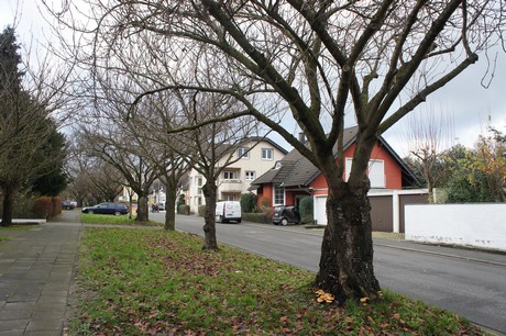 weiden