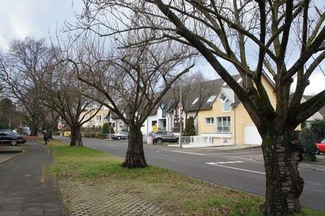 weiden