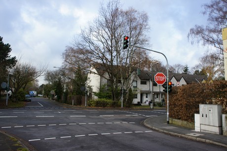 weiden