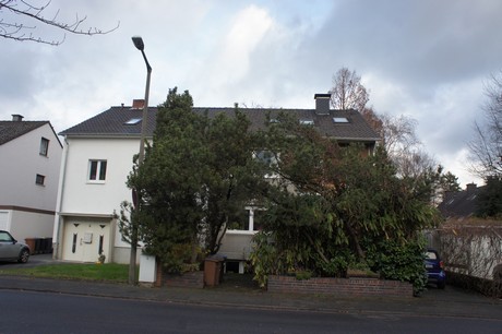 weiden