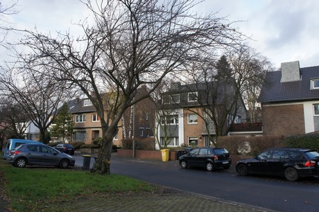 weiden