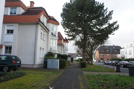 weiden