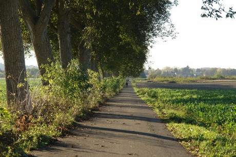 gertrudisstrasse