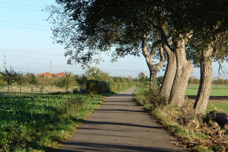 gertrudisstrasse