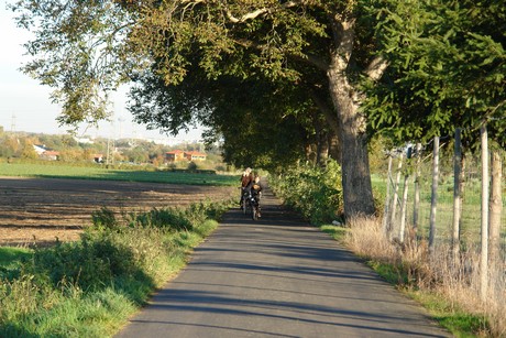 gertrudisstrasse