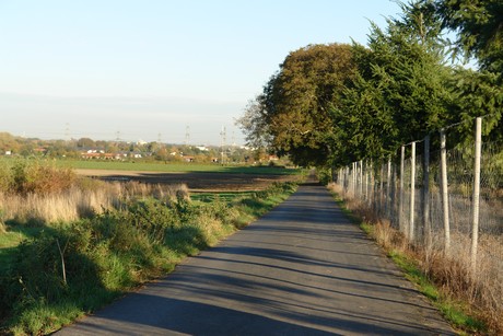 gertrudisstrasse