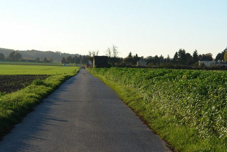 gertrudisstrasse