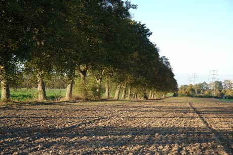 gertrudisstrasse