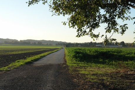 gertrudisstrasse