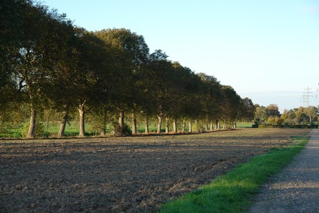 gertrudisstrasse