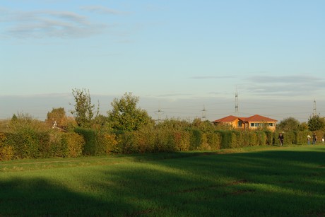 gertrudisstrasse