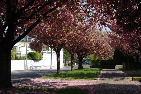 gruener-weg