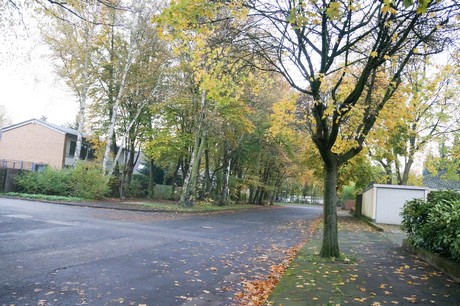 weiden