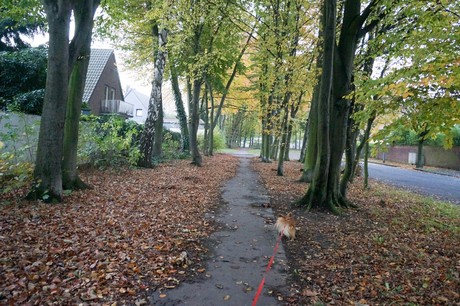 weiden